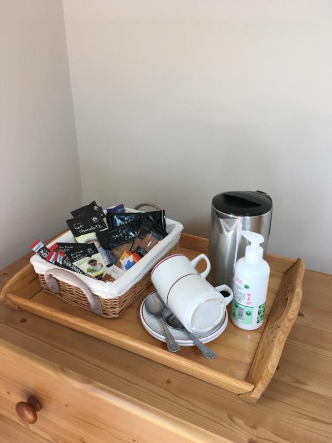 Neuadd Villa Llanwnen エクステリア 写真