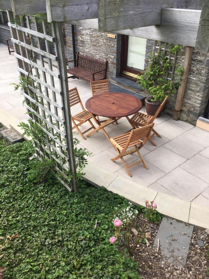 Neuadd Villa Llanwnen エクステリア 写真