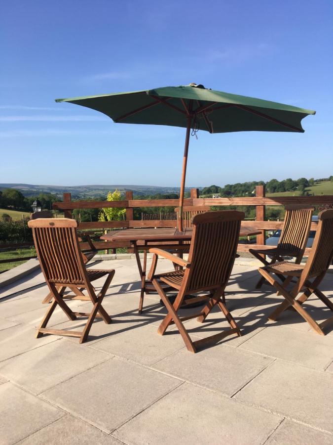 Neuadd Villa Llanwnen エクステリア 写真