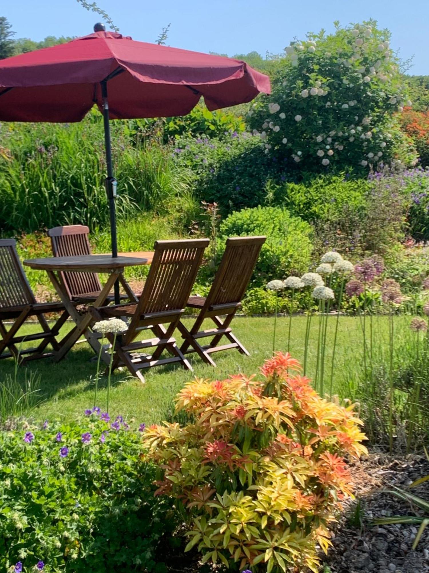 Neuadd Villa Llanwnen エクステリア 写真